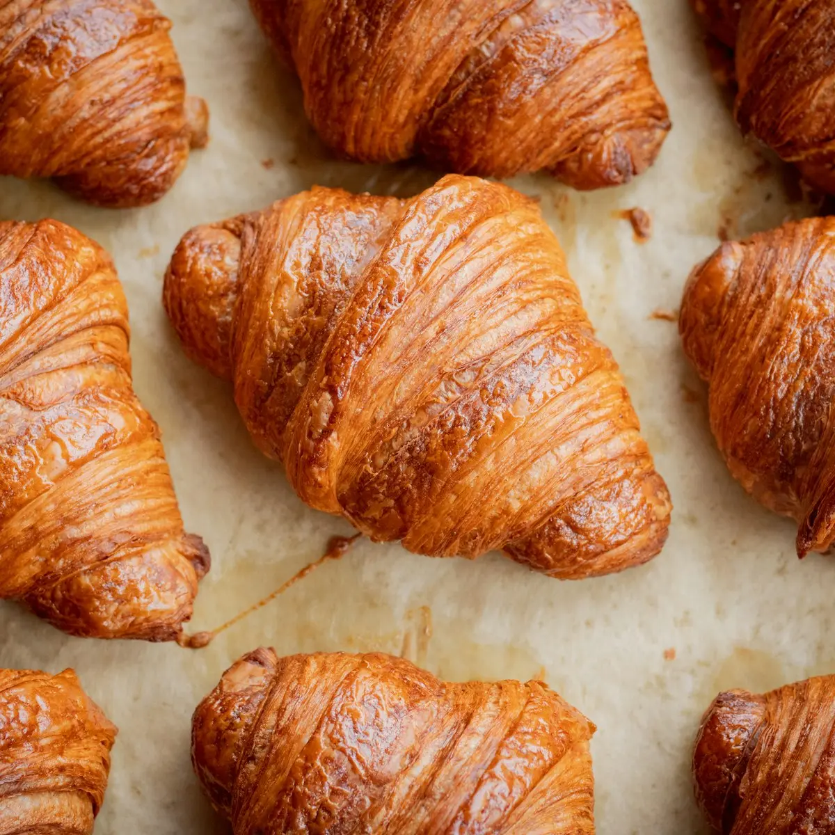 Golden butter croissants on baking paper