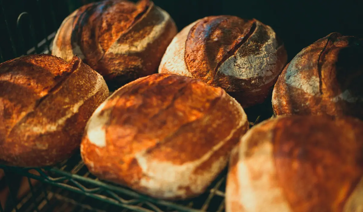 Crusty sourdough loaves cooling on a rack